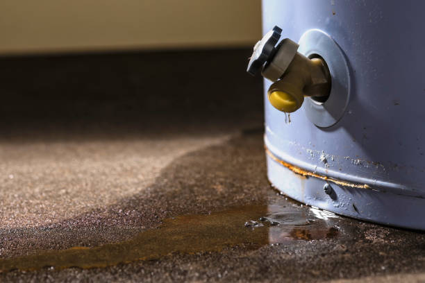 Best Water damage restoration services  in Montgomery, WV