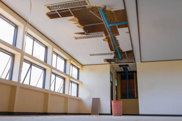 Best Fire Damage Restoration  in Montgomery, WV