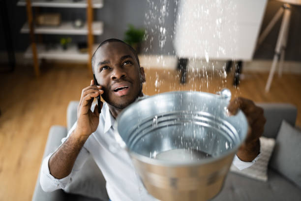 Best Residential water damage restoration  in Montgomery, WV