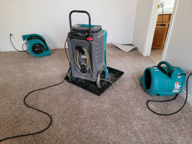 Best Professional water damage repair  in Montgomery, WV