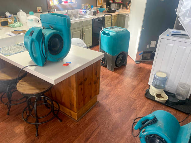 Best Water damage restoration insurance claims  in Montgomery, WV
