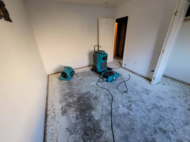 Best Ceiling water damage repair  in Montgomery, WV