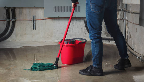 Best 24-hour water damage restoration  in Montgomery, WV