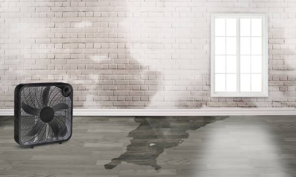 Professional Water damage restoration in Montgomery, WV