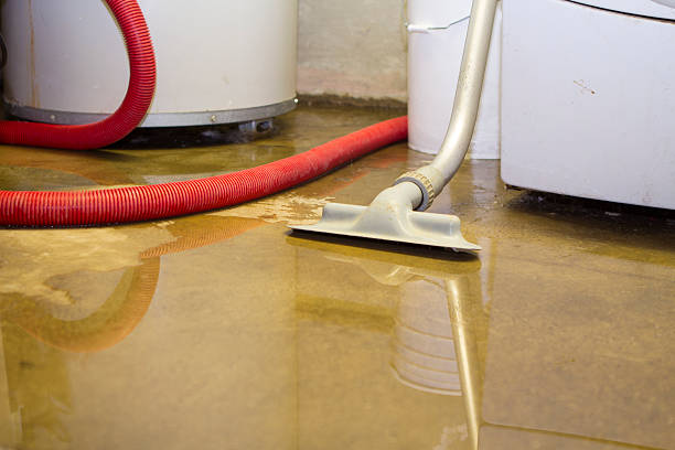 Best Water damage restoration mold remediation  in Montgomery, WV
