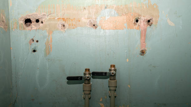 Best Sewage cleanup and water damage restoration  in Montgomery, WV