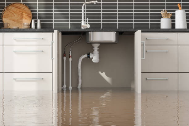 Best Water damage cleanup near me  in Montgomery, WV