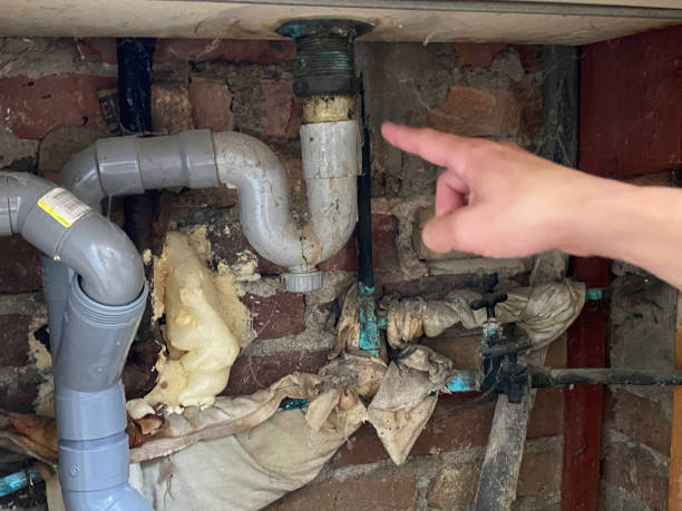 Best Water damage restoration process  in Montgomery, WV