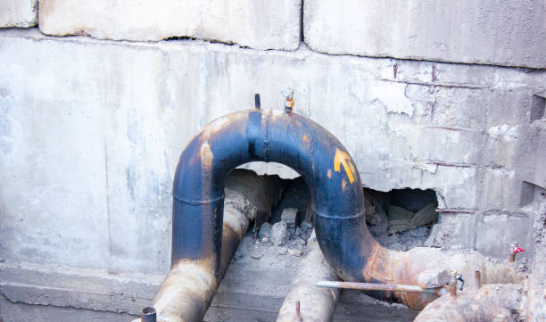 Best Local water damage restoration  in Montgomery, WV