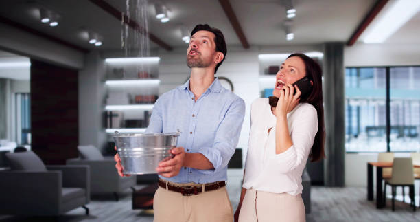 Best Flooded house restoration  in Montgomery, WV