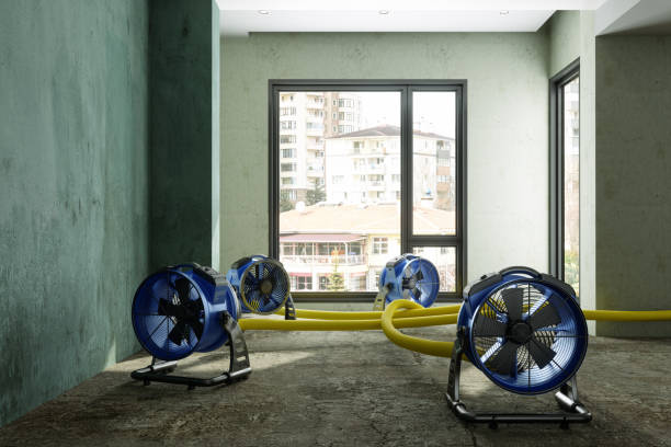 Best 24/7 water damage repair  in Montgomery, WV